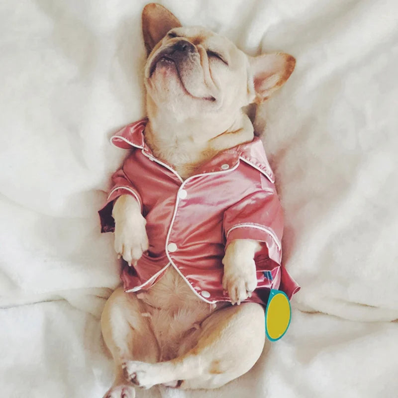 Luxury Silk Pet Pajamas