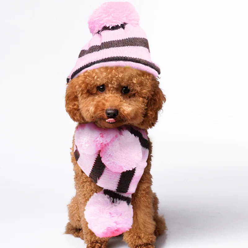 3-Piece Knitted Hat & Scarf Set for Small Dogs - Warm Winter Outfit for Chihuahua & Pug | PoochWear

