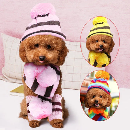 3-Piece Knitted Hat & Scarf Set for Small Dogs - Warm Winter Outfit for Chihuahua & Pug | PoochWear

