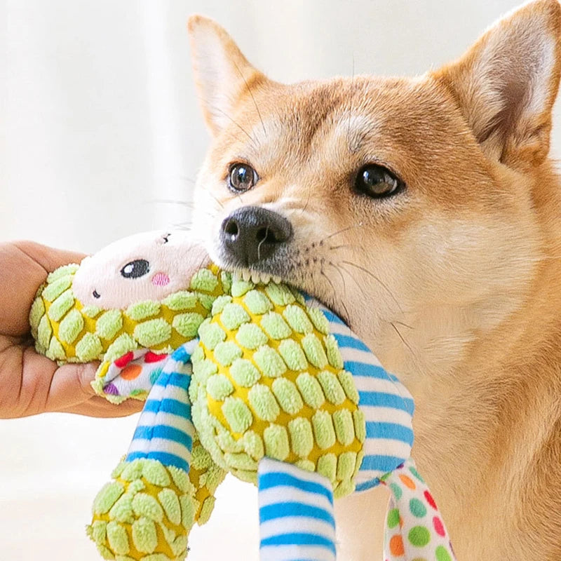 Interactive Plush Squeaky Toys for Pets | Pooch Wear

