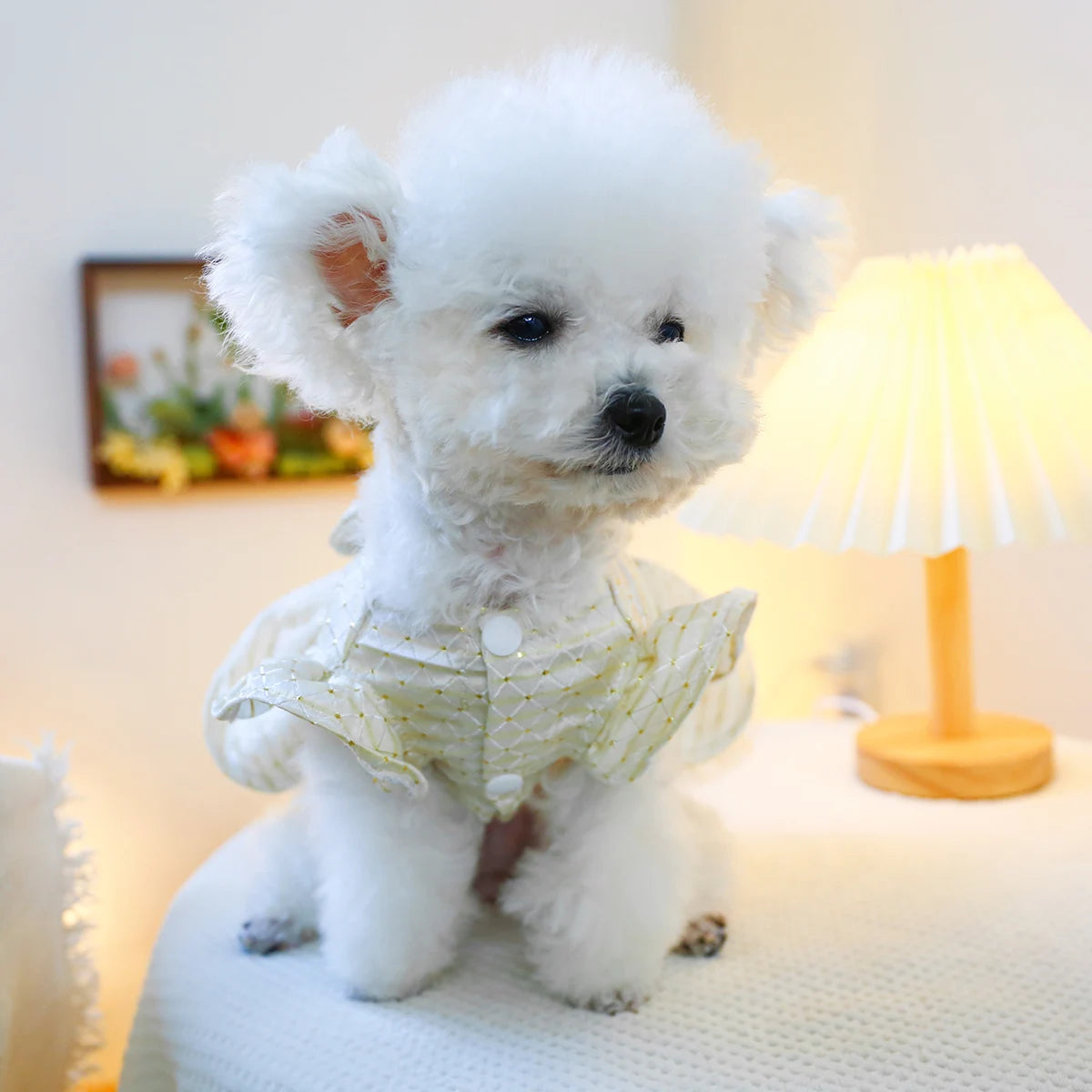 Sky Star Bow Princess Pet Dress - Magical & Comfortable for Spring and Summer