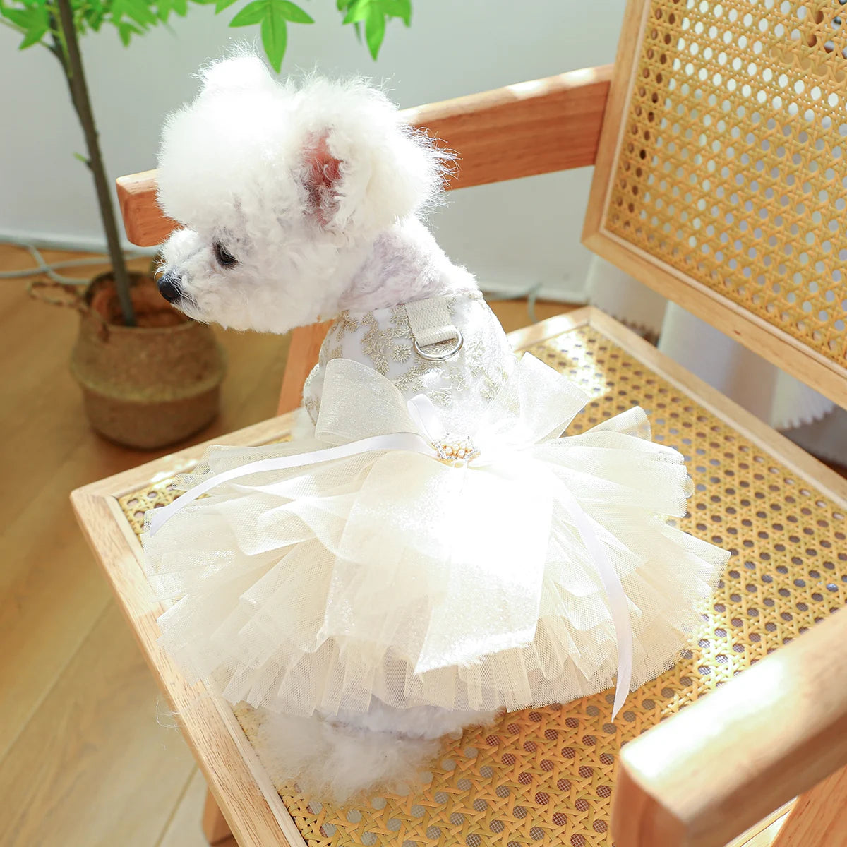 Breathable White Wedding Pet Dress by PETCIRCLE - Stylish Princess Attire