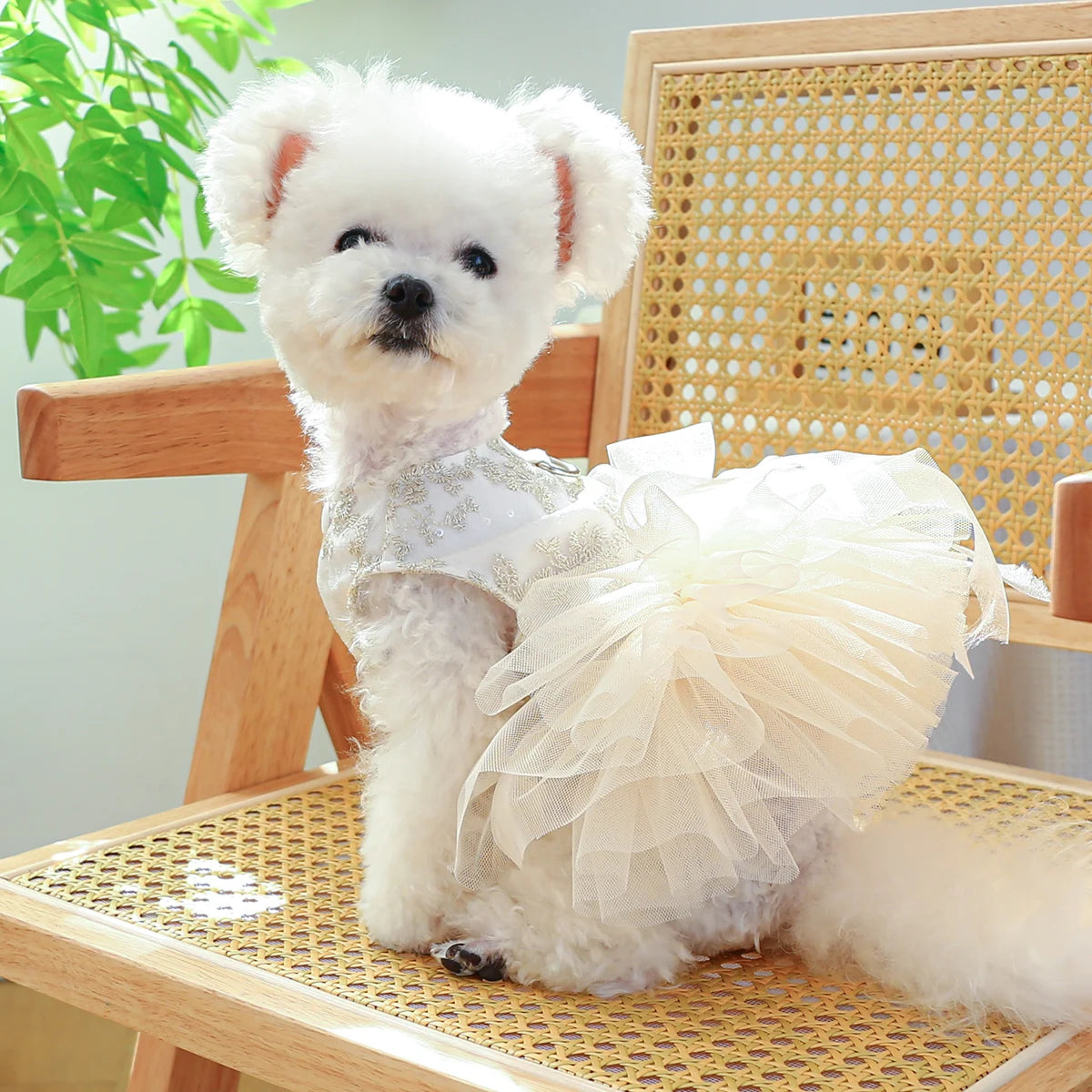 Breathable White Wedding Pet Dress by PETCIRCLE - Stylish Princess Attire