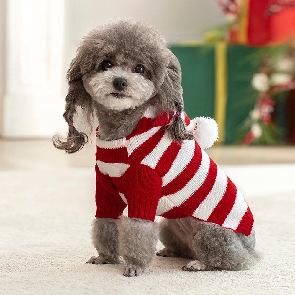 Classic Striped Dog Sweater with Hat – Winter Puppy Clothes for Small Dogs – PoochWear