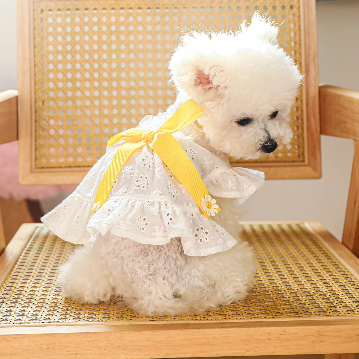 White Hollow Bow Pet Dress: Elegant & Breathable Summer Outfit