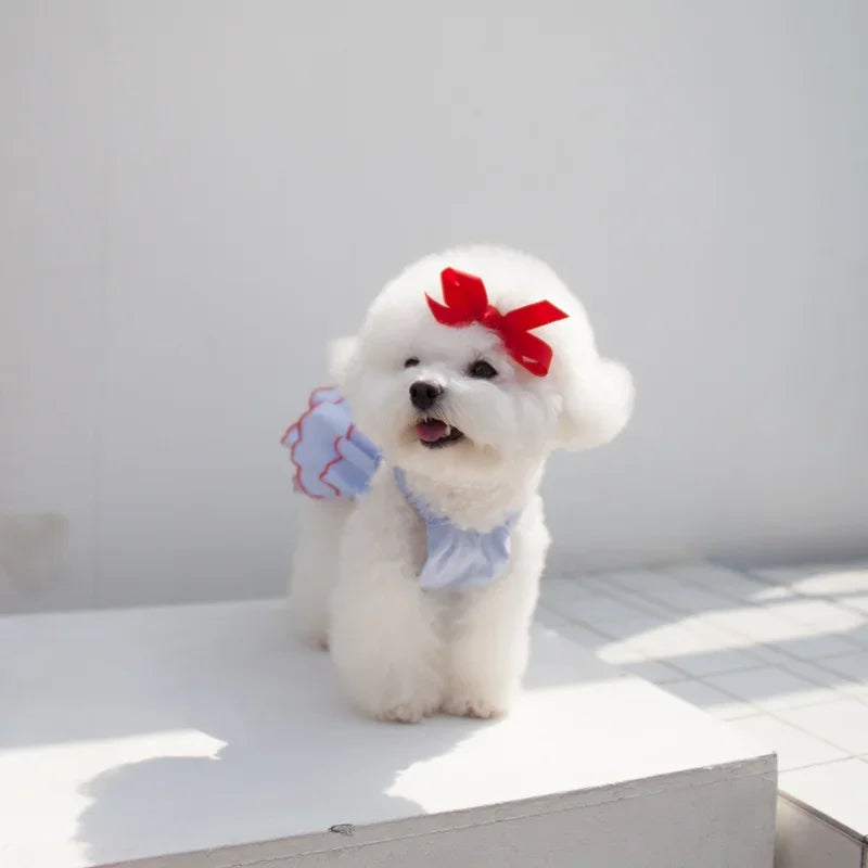 PetChic Summer Princess Dress | Stylish Pet Clothes for Small Dogs and Cats