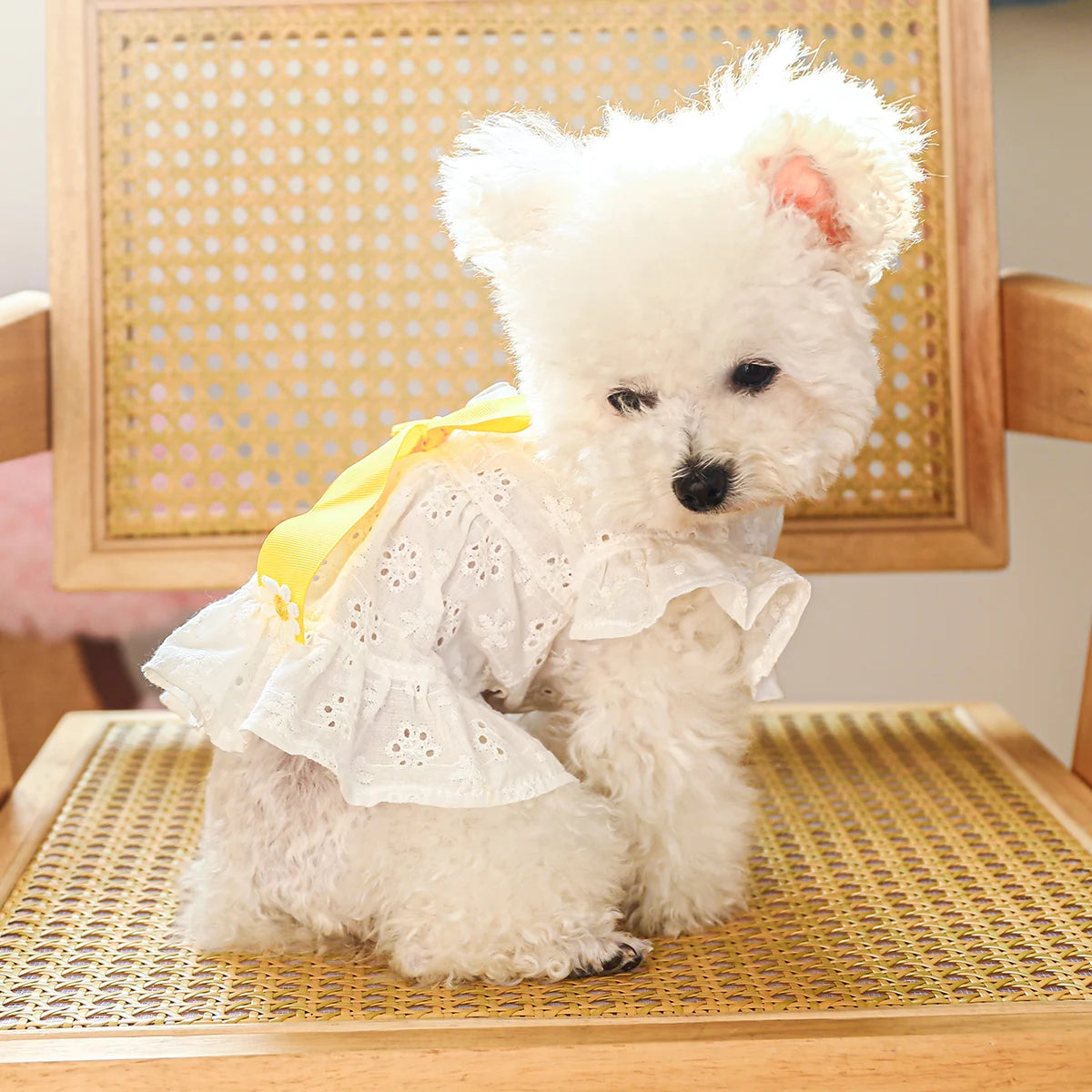 White Hollow Bow Pet Dress: Elegant & Breathable Summer Outfit