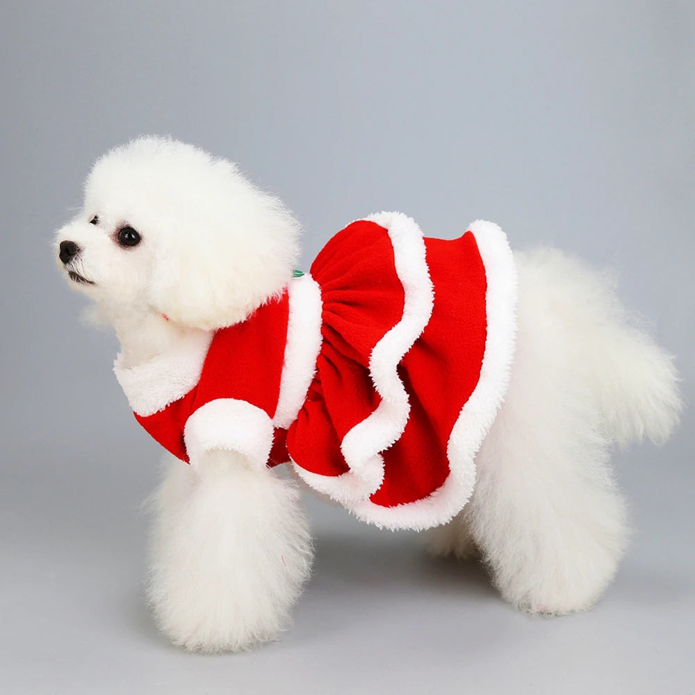 Christmas Pet Dog Costume Dress - Festive Red Skirt for Small Dogs | PoochWear

