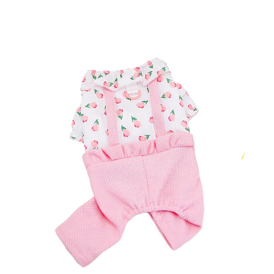 Dogbaby Floral Spring Jumpsuit