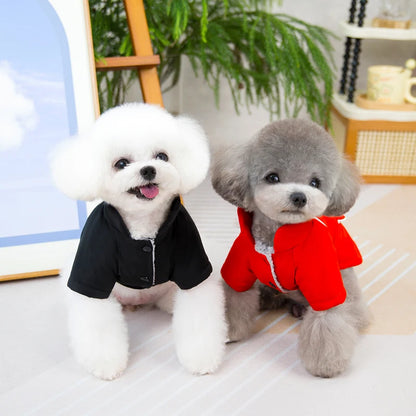 Winter Pet Cotton Jacket for Small Dogs