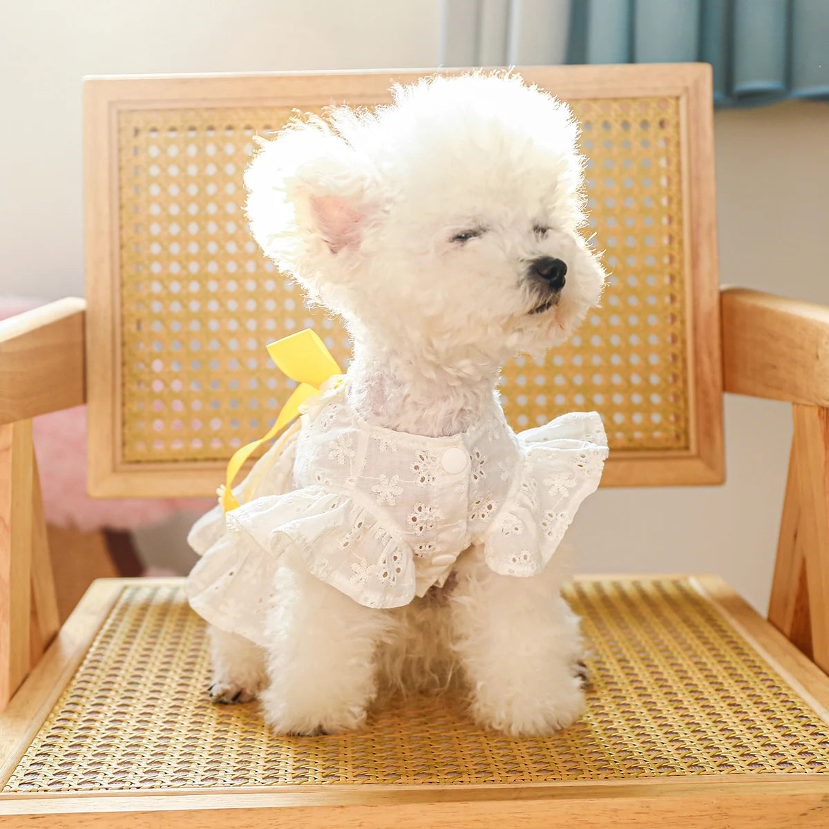 White Hollow Bow Pet Dress: Elegant & Breathable Summer Outfit