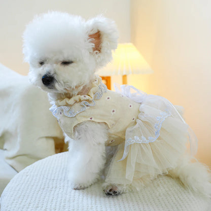 Champagne Waltz Princess Pet Dress by PETCIRCLE - Elegant Attire for Small Dogs