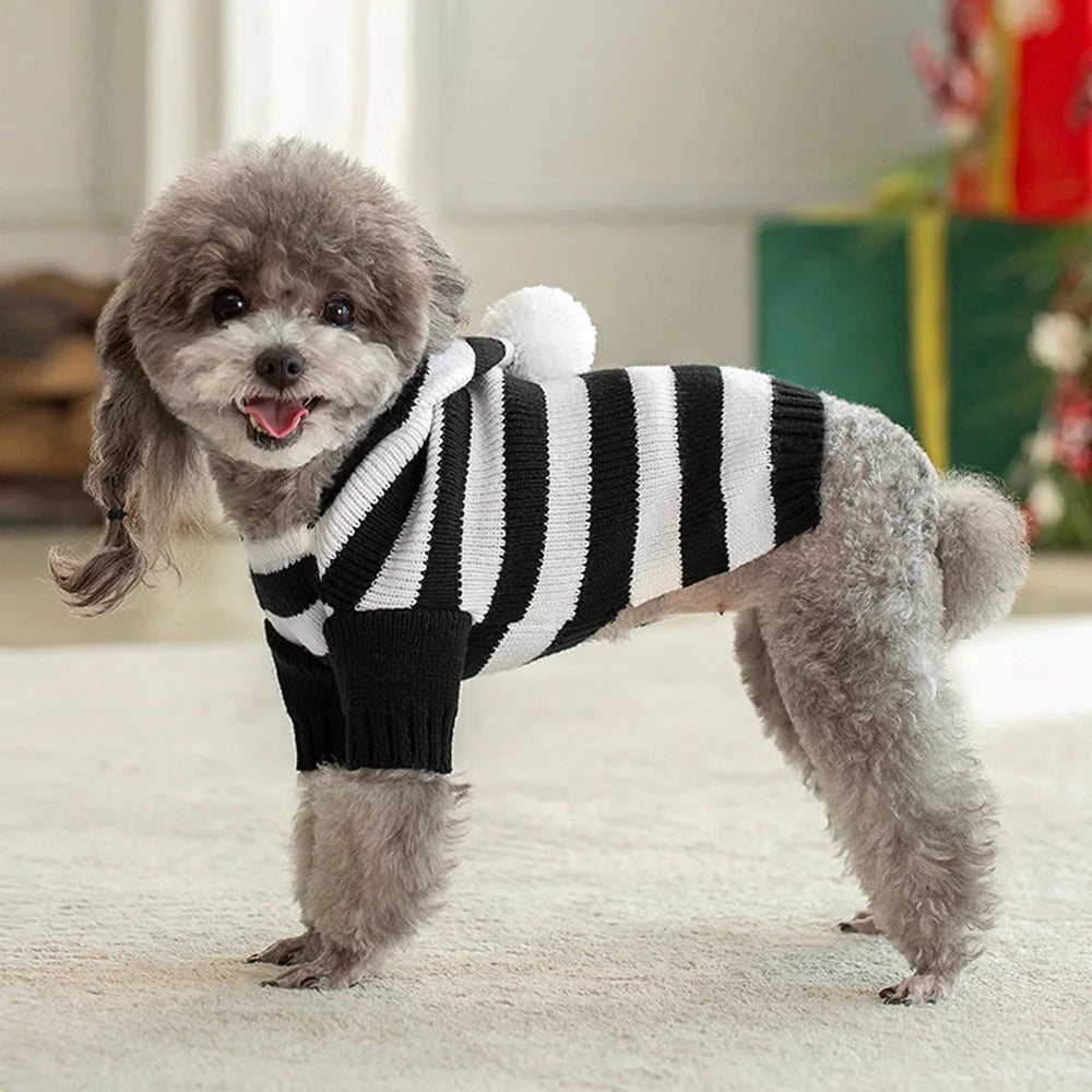 Classic Striped Dog Sweater with Hat – Winter Puppy Clothes for Small Dogs – PoochWear