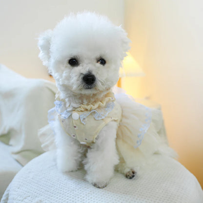 Champagne Waltz Princess Pet Dress by PETCIRCLE - Elegant Attire for Small Dogs