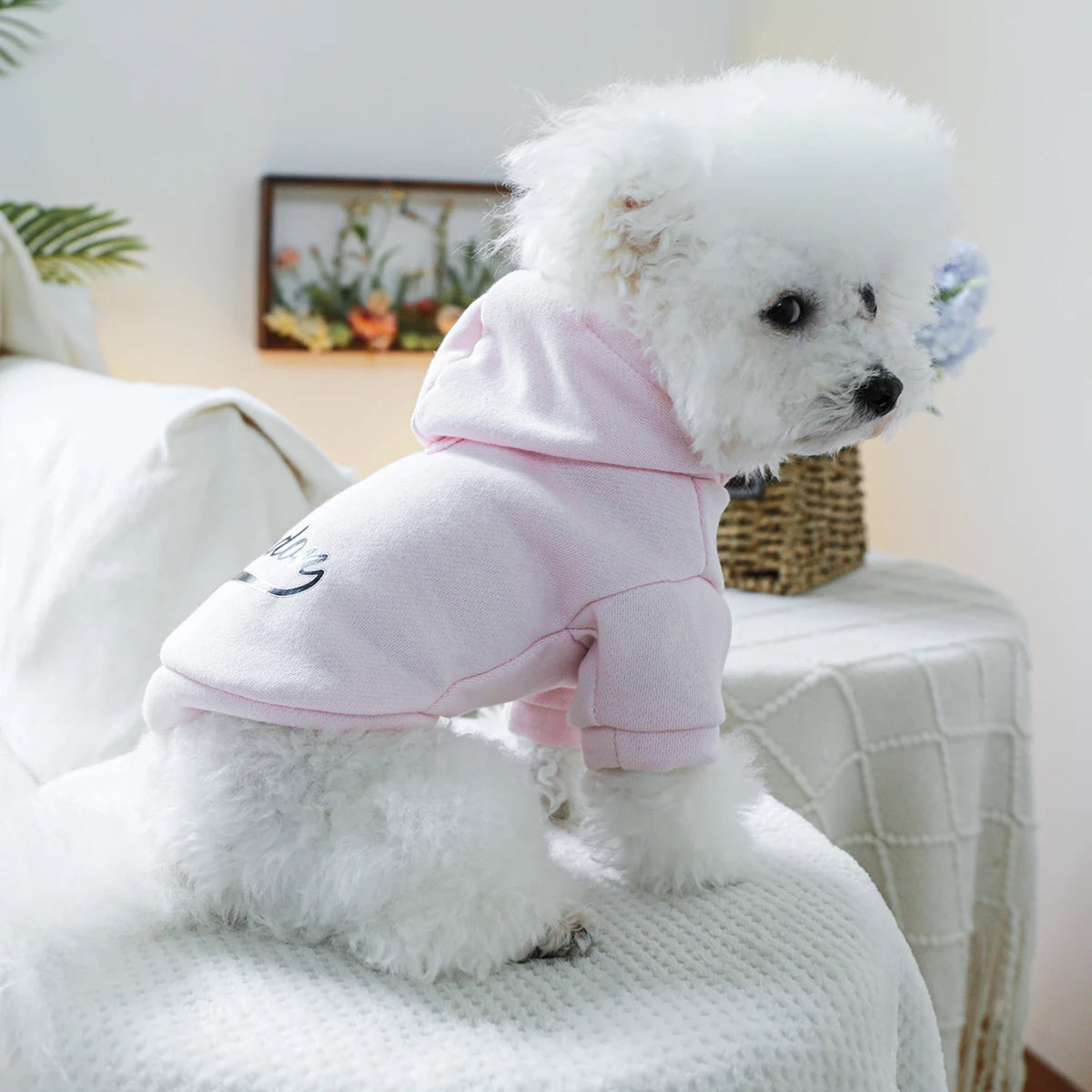 Black London Pink Dog Sweater Pullover - Stylish & Comfortable Pet Apparel