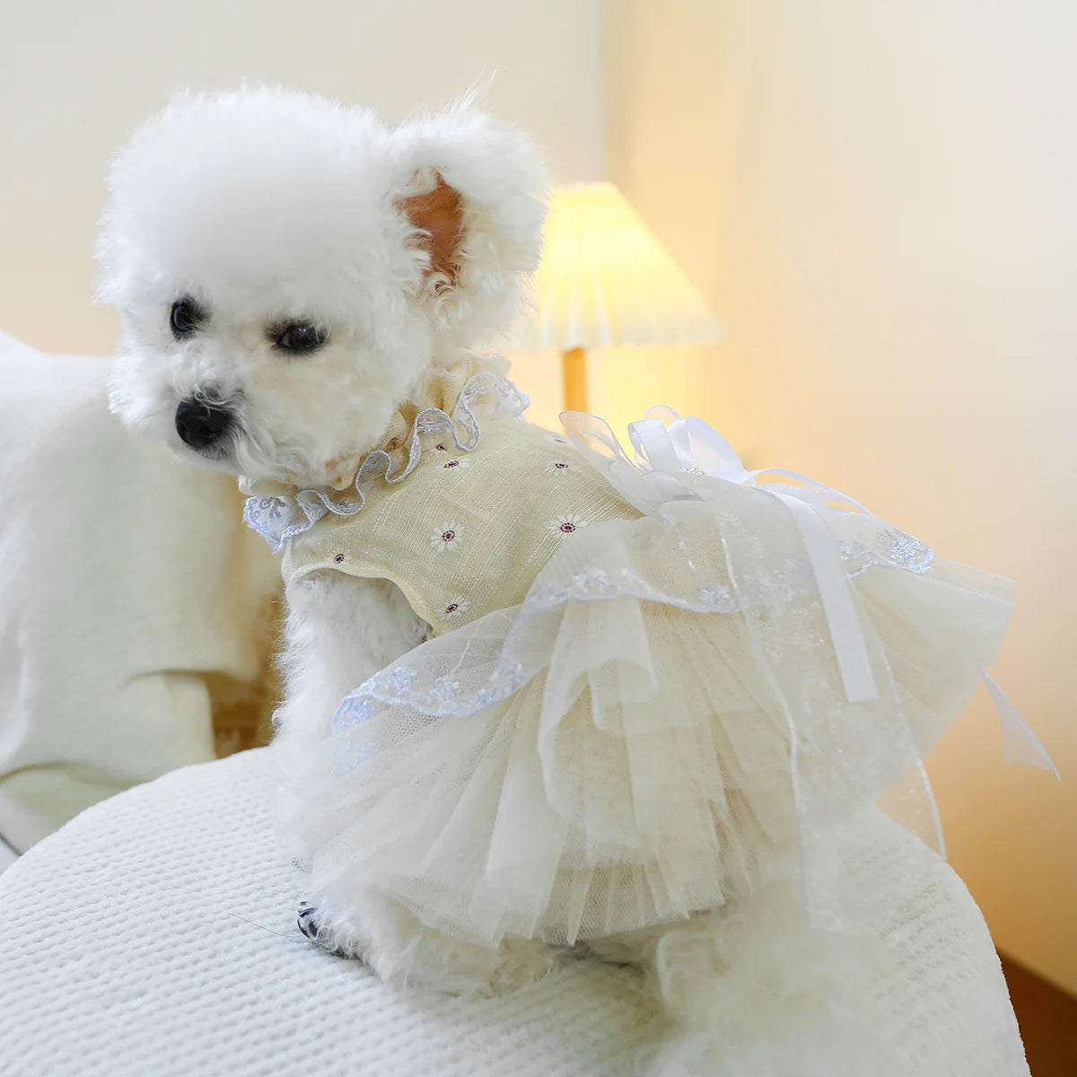 Champagne Waltz Princess Pet Dress by PETCIRCLE - Elegant Attire for Small Dogs