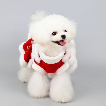 Christmas Pet Dog Costume Dress - Festive Red Skirt for Small Dogs | PoochWear

