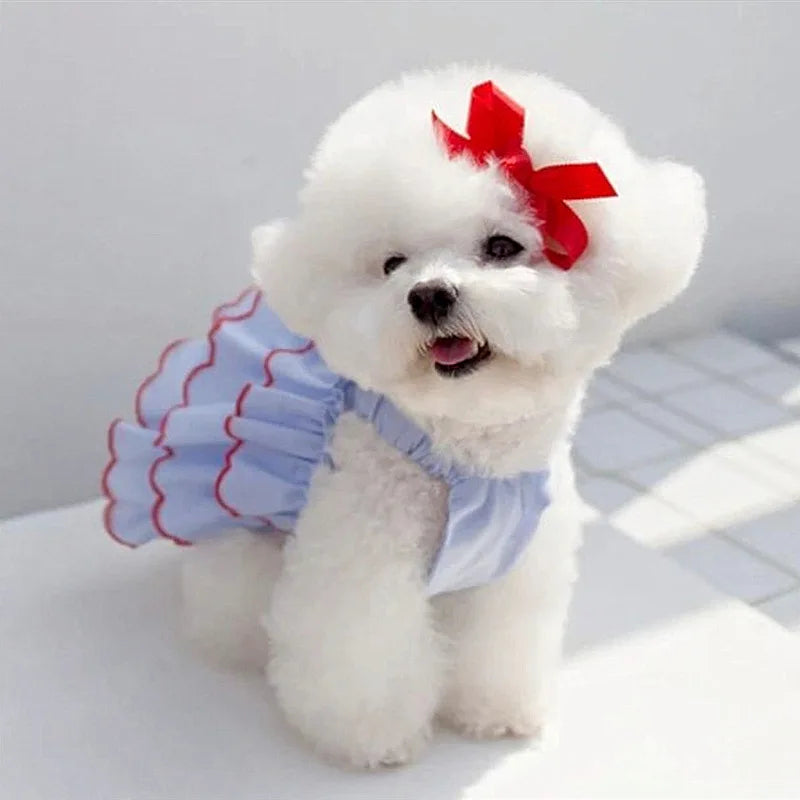 PetChic Summer Princess Dress | Stylish Pet Clothes for Small Dogs and Cats